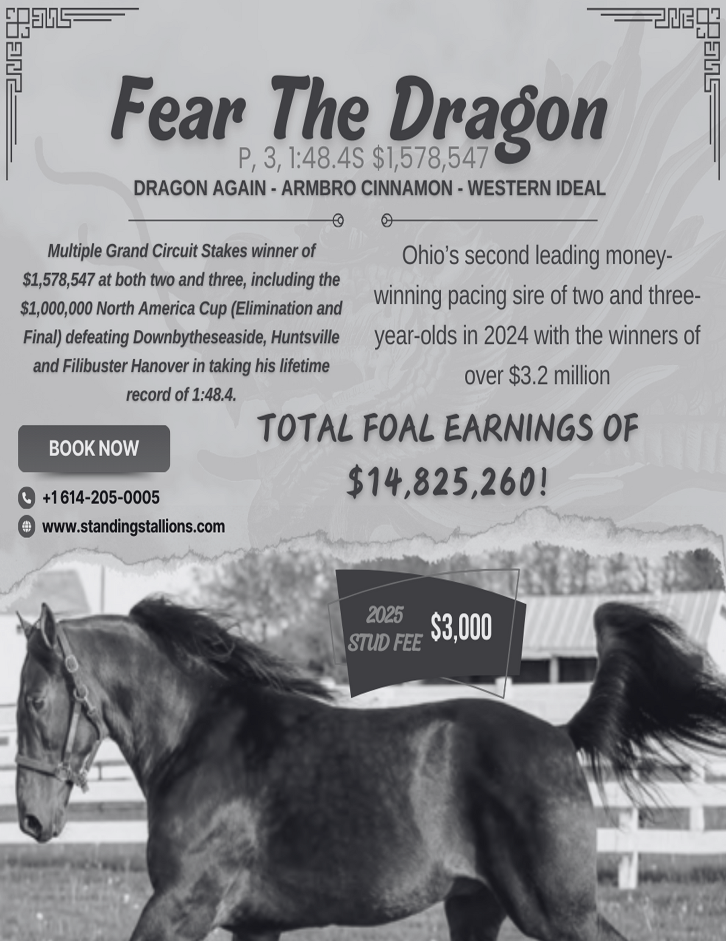 FEAR THE DRAGON