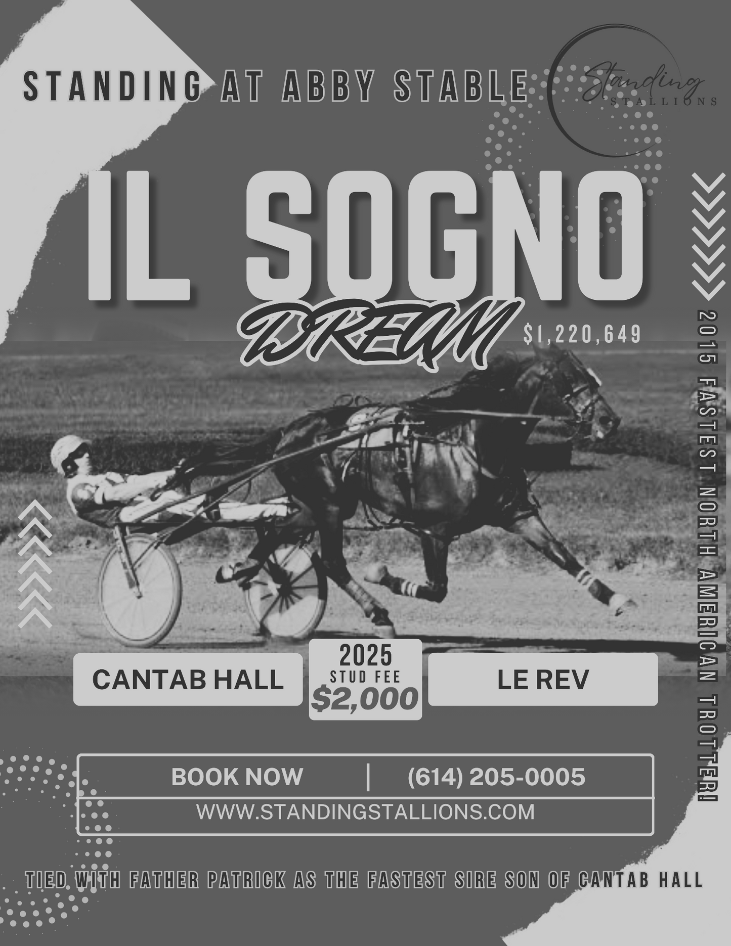 IL SOGNO DREAM