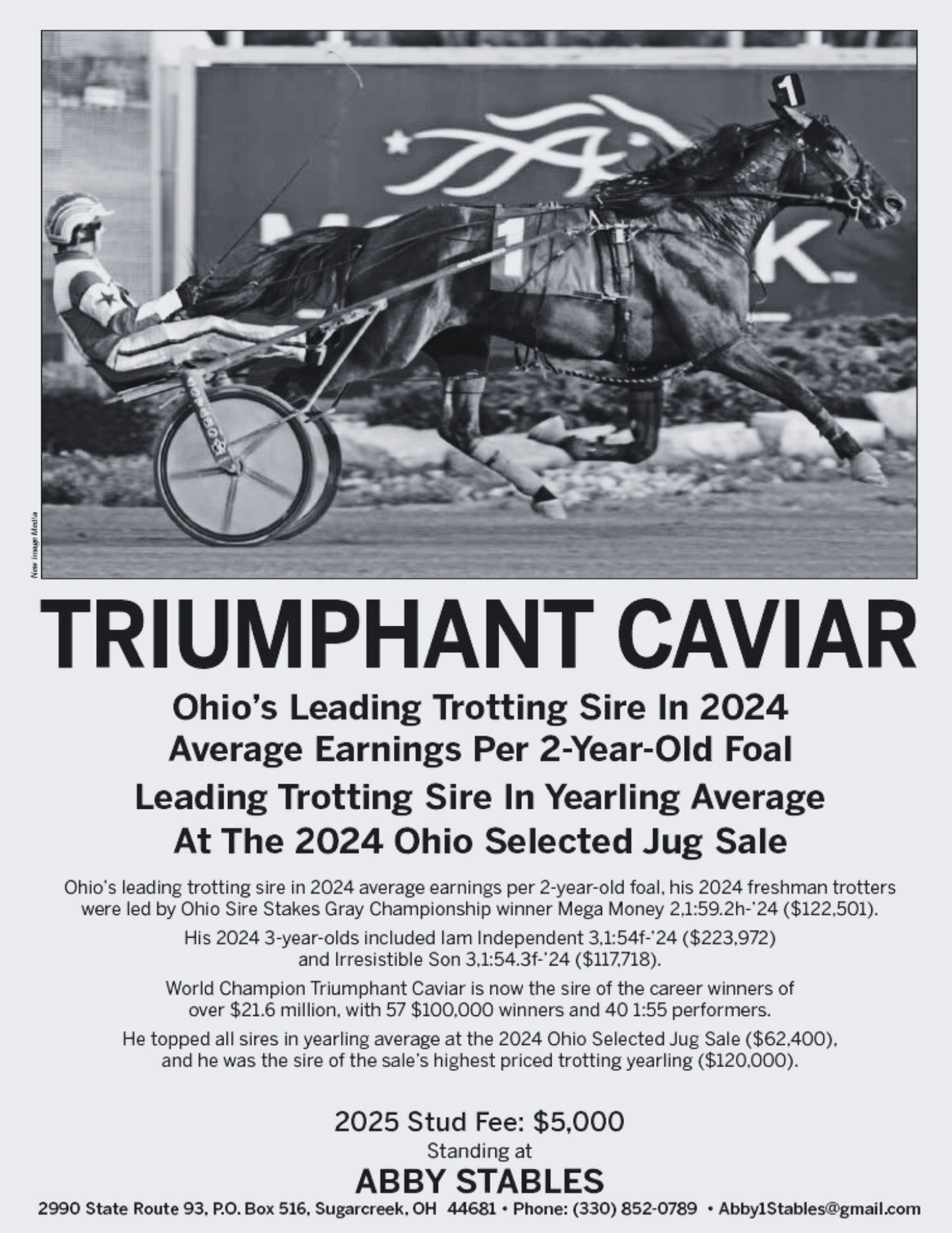 TRIUMPHANT CAVIAR